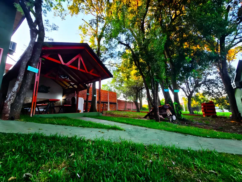 Jardin con arboles altos y luz calida de atardecer